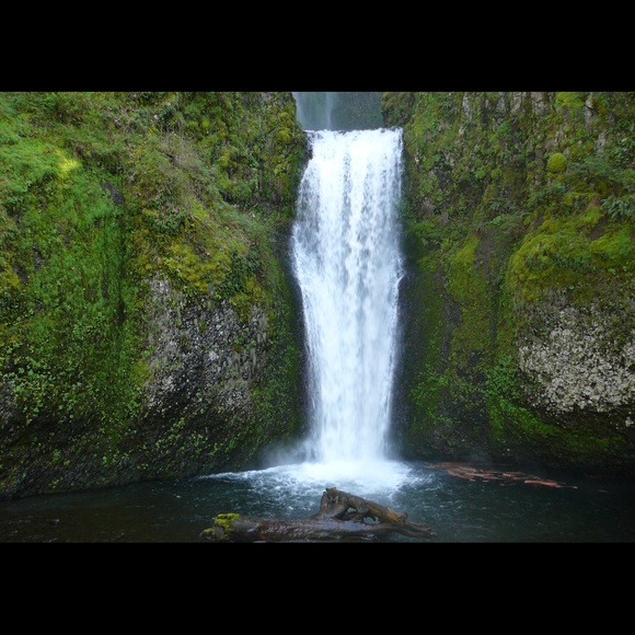 Meet your Posher, Michaelia - Picture 2 of 4